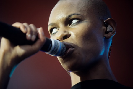 Skunk Anansie